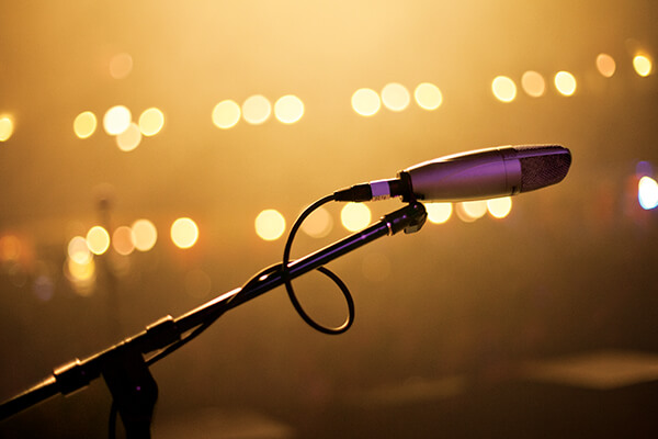 Micrófono vocal/ Instrumental cardioide.